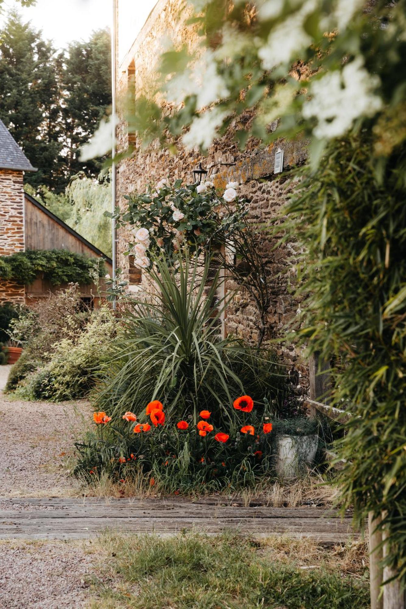 Chambre D'Hote En Gite - Moulin De La Houssaie - Broceliande Guer ภายนอก รูปภาพ