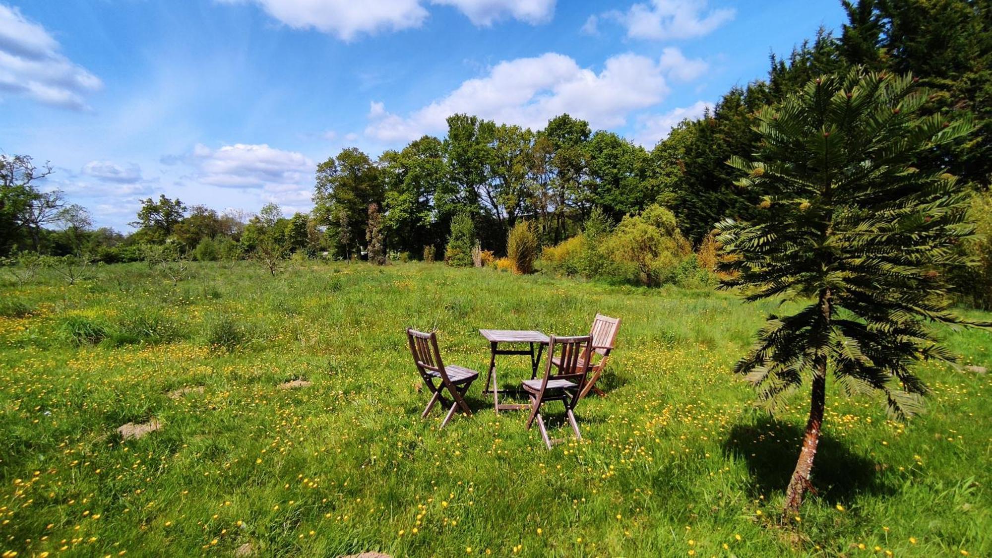 Chambre D'Hote En Gite - Moulin De La Houssaie - Broceliande Guer ภายนอก รูปภาพ