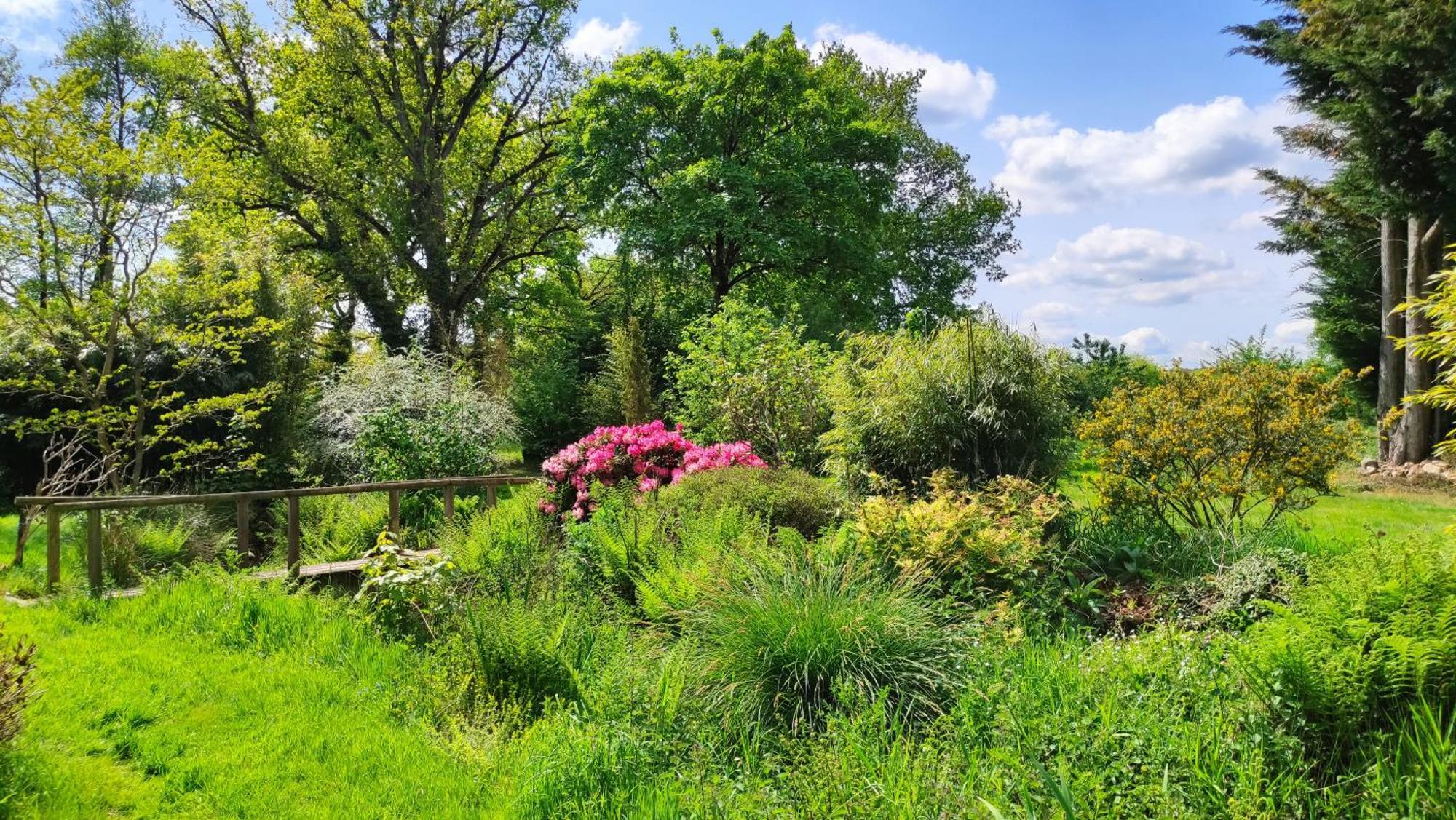 Chambre D'Hote En Gite - Moulin De La Houssaie - Broceliande Guer ภายนอก รูปภาพ